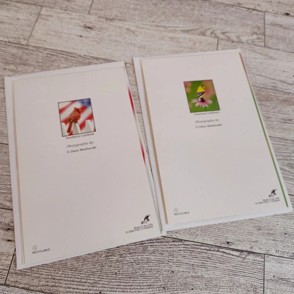 Set of two blank‎ Bird Note Cards Cardinal Goldfinch Blank Inside Stationery
